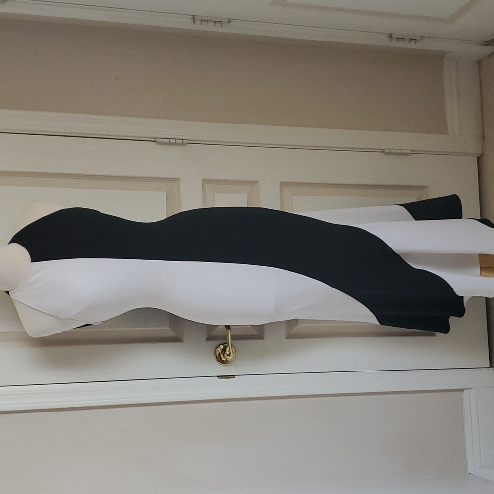Black & White Bodycon Evening Gown